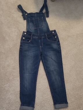 Wallflower Dark Blue Denim Women’s Overalls